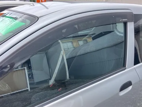 Subaru Pleo
