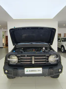 Tank 300