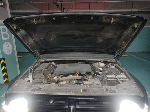 Tank 300