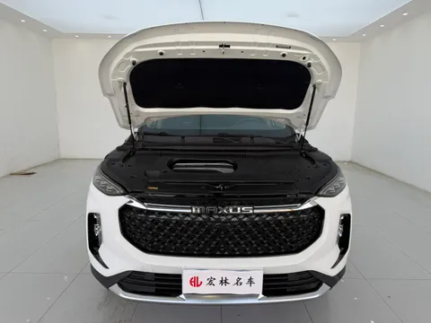 Maxus D60