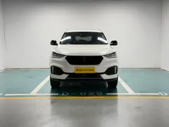 Wey VV6