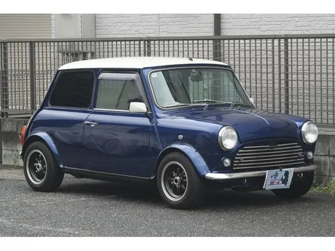 Rover Mini