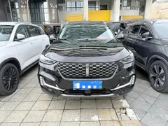 Wey VV6