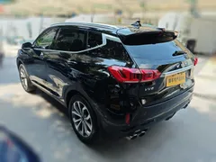 Wey VV6
