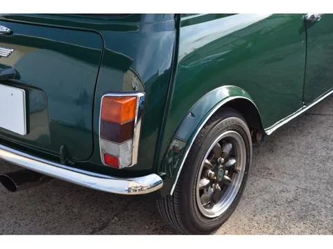 Rover Mini