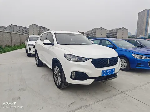 Wey VV6