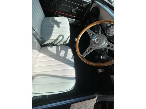 Rover Mini
