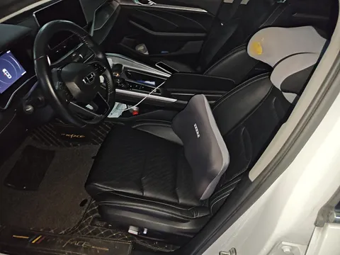 Geely Preface (Xingrui)