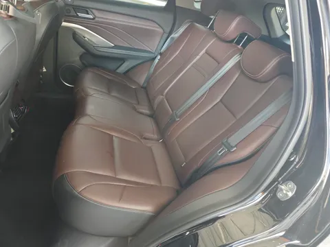 Wey VV6
