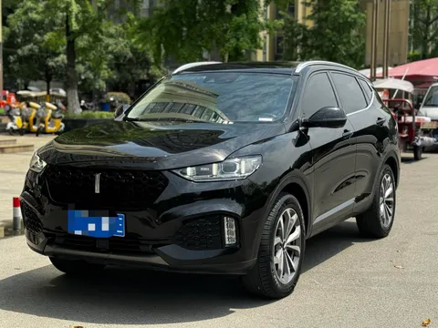 Wey VV6
