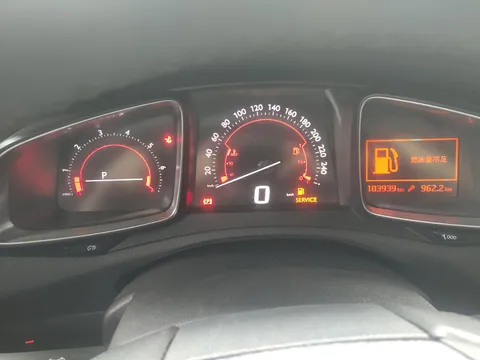 DS DS
