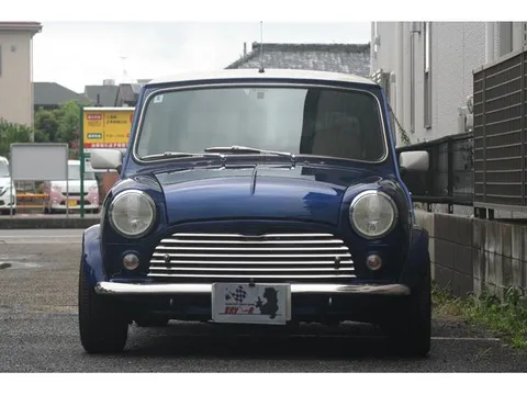 Rover Mini