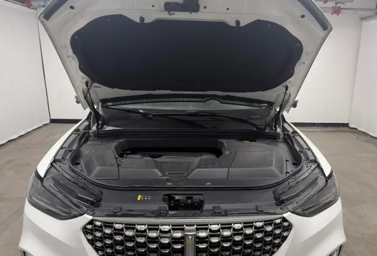 Wey VV6