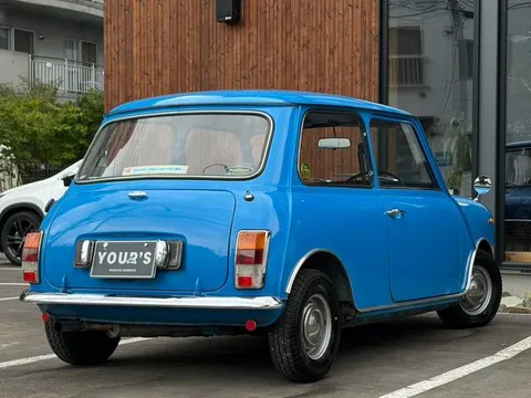 Rover Mini