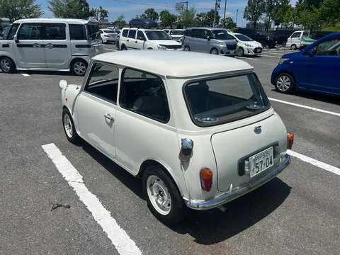 Rover Mini