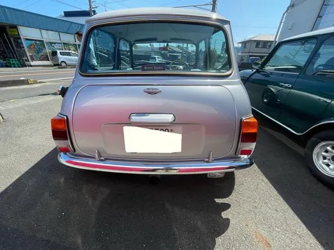 Rover Mini