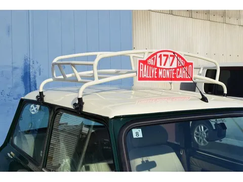 Rover Mini