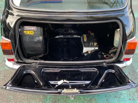 Rover Mini