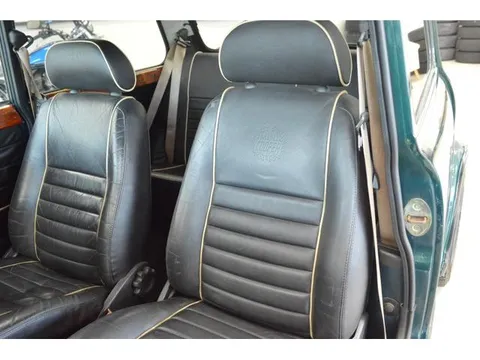 Rover Mini