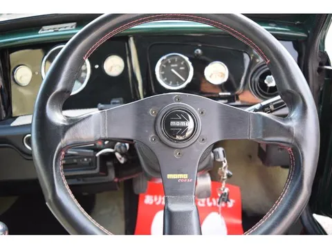 Rover Mini