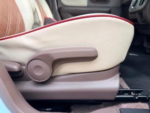 Suzuki Alto Lapin Chocolat