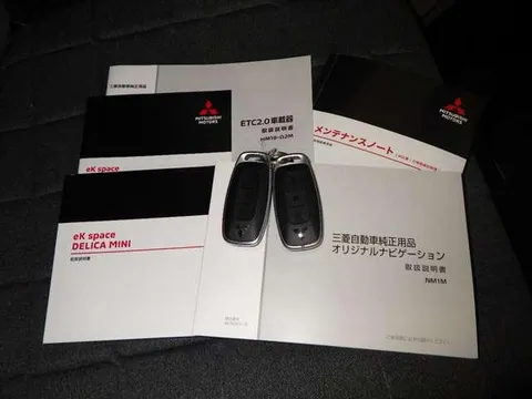 Mitsubishi Delica Mini