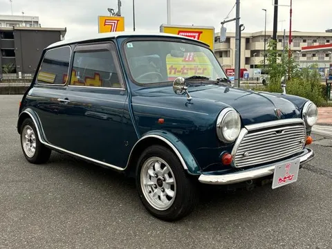Rover Mini