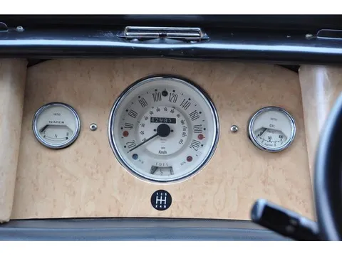 Rover Mini