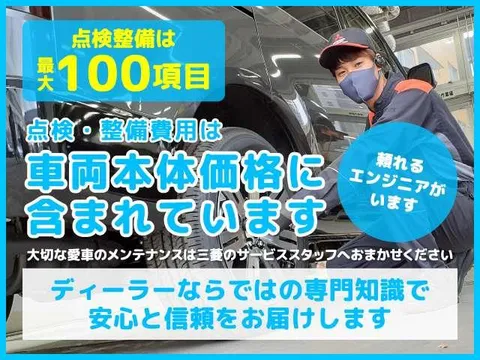 Mitsubishi Delica Mini