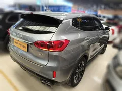 Wey VV6