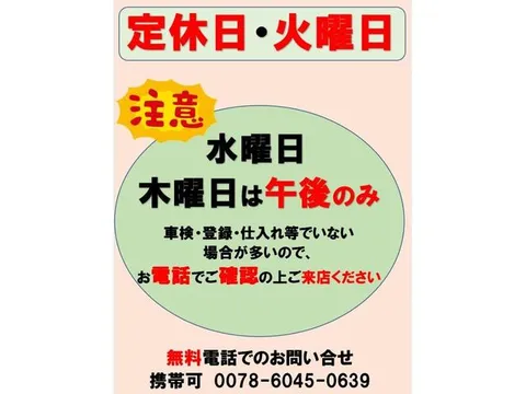 Mitsubishi Toppo