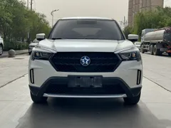 Venucia T60