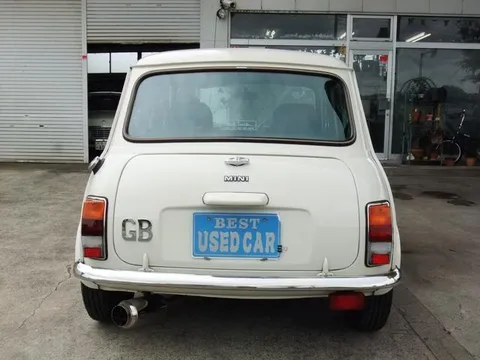 Rover Mini
