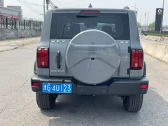 Tank 300