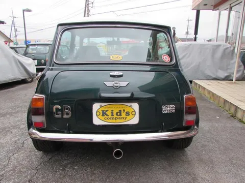 Rover Mini