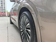 Volkswagen Viloran