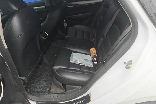 Geely Binrui