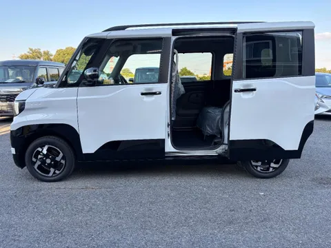 Mitsubishi Delica Mini