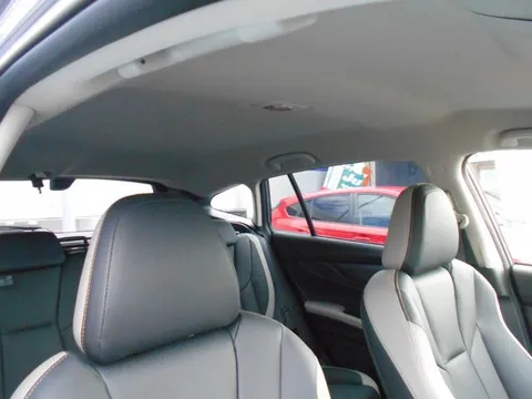 Subaru Levorg Layback