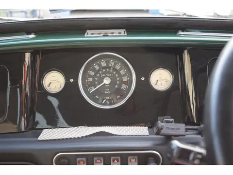 Rover Mini