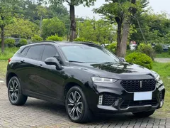 Wey VV7