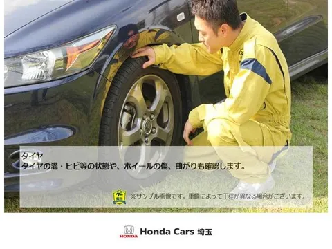 Honda Freed Spike