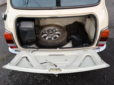 Rover Mini