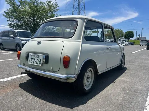 Rover Mini