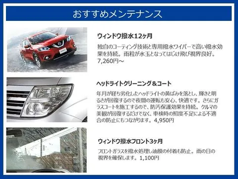 Nissan Clipper Rio