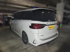Maxus G20
