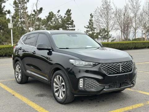 Wey VV6