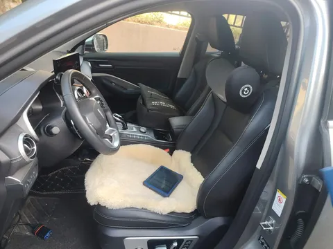 Wey VV6
