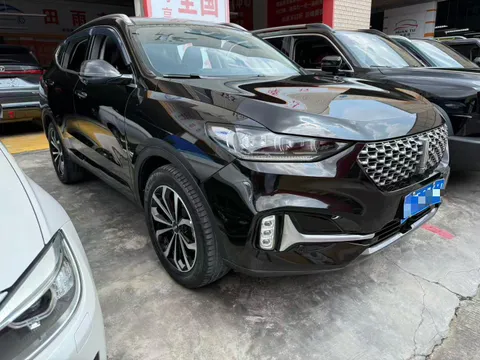 Wey VV6