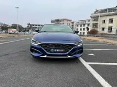 Hyundai Festa